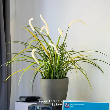 Wiesenweg W03 * Laboe